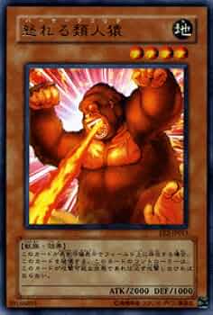 遊戯王 - 海猿 Card Gallery:Wicked Dragon with the Ersatz Head | Yu-Gi-Oh